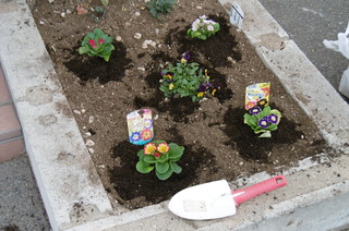 花を植える.JPG