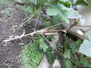 P1000328.JPG
