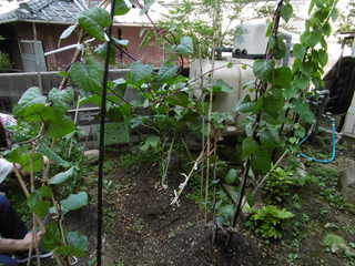 P1000329.JPG