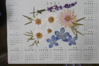 P1000353.JPG
