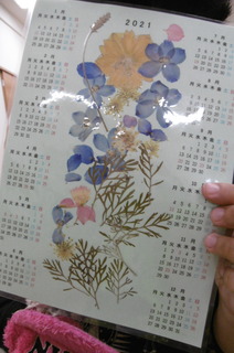 P1000356.JPG