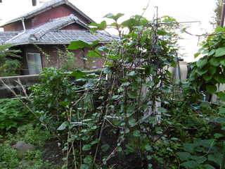 P1000372.JPG