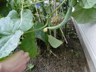 P1000377.JPG