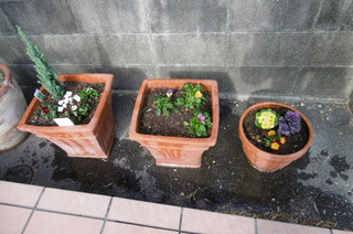 P1000419.JPG