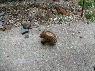 P1000424.JPG