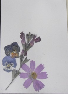 P1000427.JPG