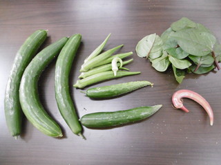 P1000427.JPG