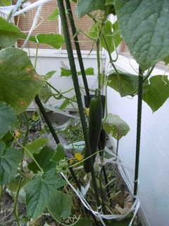 P1000434.JPG