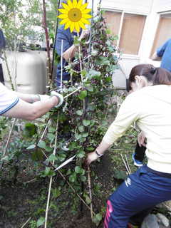 P1000463.JPG
