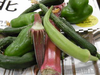 P1000474.JPG