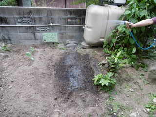 P1000529.JPG