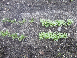 P1000563.JPG