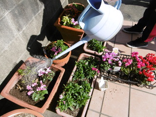 P1000568.JPG