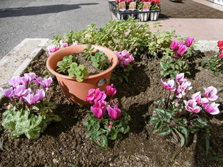 P1000569.JPG