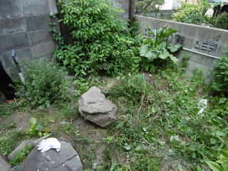 P1000643.JPG