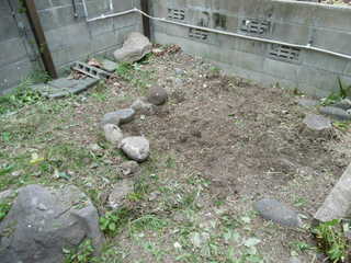 P1000645.JPG