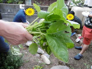 P1000765.JPG