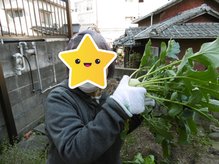 P1000887.png