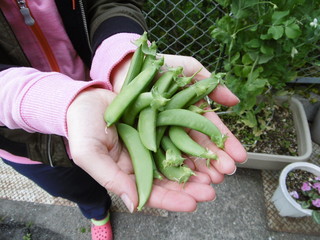P1000921.JPG