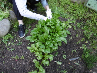 P1000937.JPG