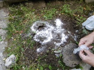 P1000939.JPG