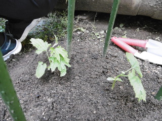 P1000961.JPG