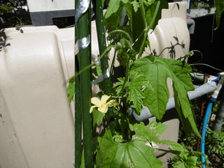P1010017.JPG