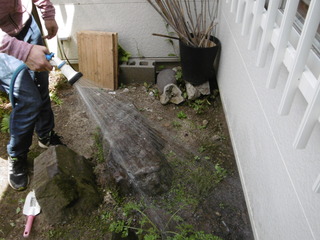 P1010036.JPG
