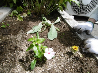 P1010047.JPG