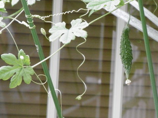 P1010217.JPG