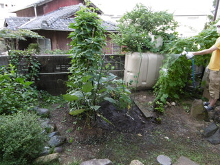 P1010226.JPG