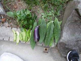 P1010233.JPG