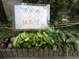 P1010264.JPG