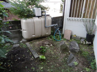 P1010265.JPG