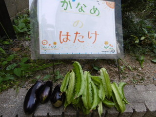 P1010277.JPG