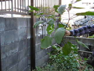 P1010285.JPG
