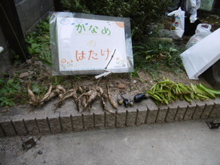P1010291.JPG