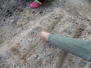 P1030262.JPG