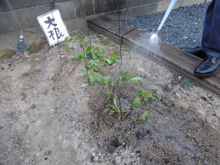 P1030265.JPG