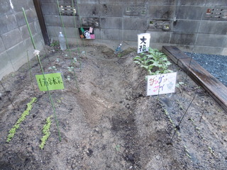 P1030279.JPG