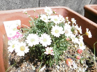 P1030725.JPG
