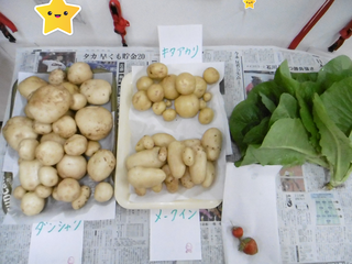 P1030734.png