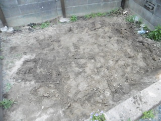 P1030740.JPG