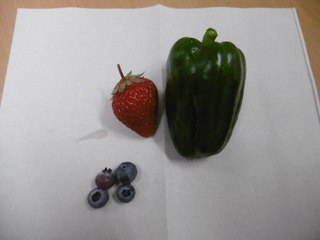 P1030744.JPG