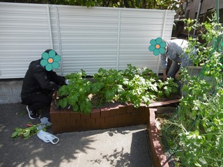P1040009.JPG
