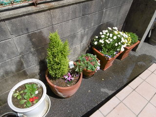 P1040015.JPG