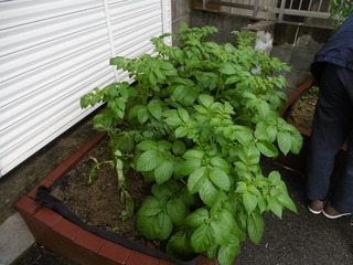 P1040020.JPG