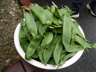 P1040022.JPG