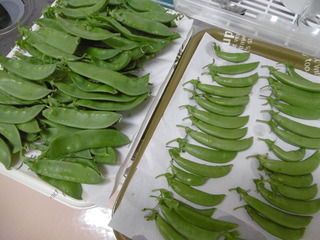 P1040026.JPG