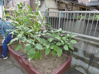 P1040186.JPG